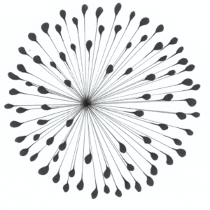 Bella Lehmann - Psychologische Beratungen, Beratung & Coaching und Freie Trauungen